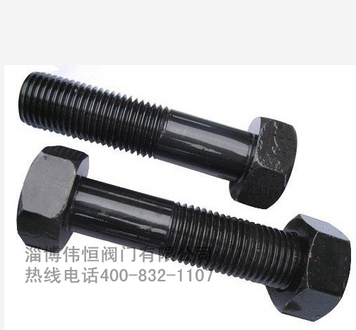 煤(méi)氣(qì)閥門(mén)專用高(gāo)強度螺(luó)栓釘(dìng)緊固件