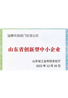 2022年山東省(shěng)創新型中小企業
