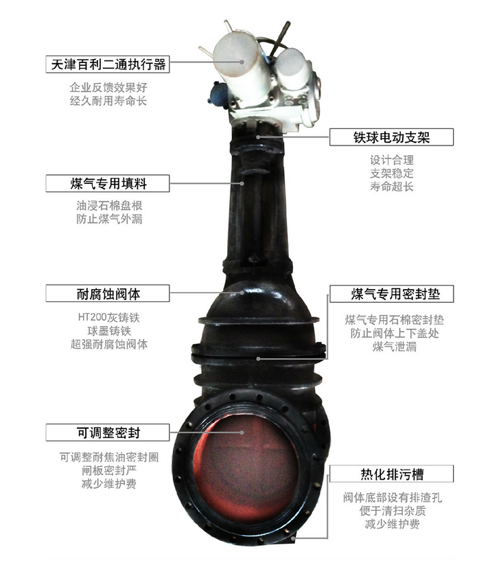 匯中旭悅股份有限公司