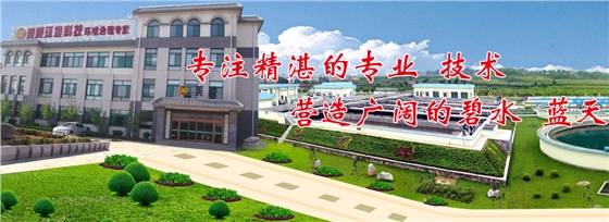 美陵(líng)中聯(lián)環(huán)境工程(chéng)有限公(gōng)司