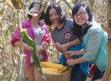 2.掰玉米人員25名，要求至少1年工(gōng)作經驗，手腕有勁手指靈活，拉(lā)呱時候能不耽誤幹活，皮(pí)糙肉(ròu)厚者優先：